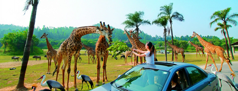 廣州香江野生動物世界