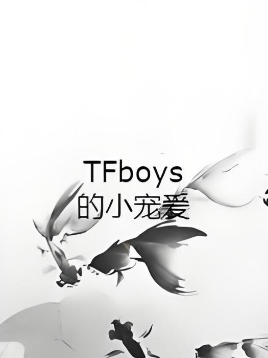 TFboys的小寵愛