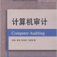 最新審計技術方法叢書：計算機審計