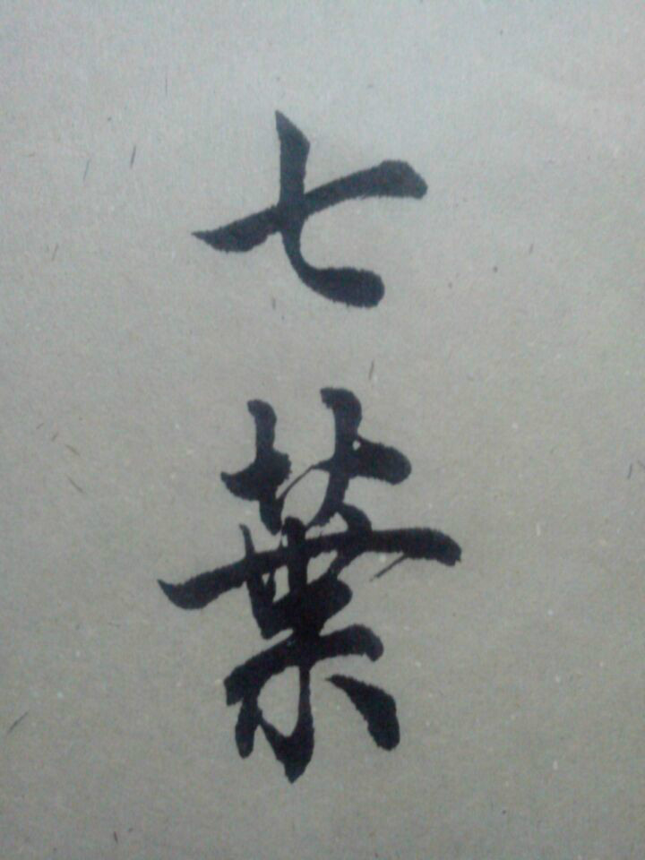 七葉