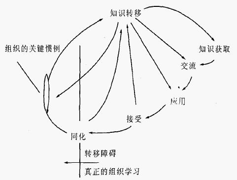 N型組織