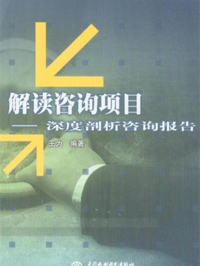 解讀諮詢項目——深度剖析諮詢報告