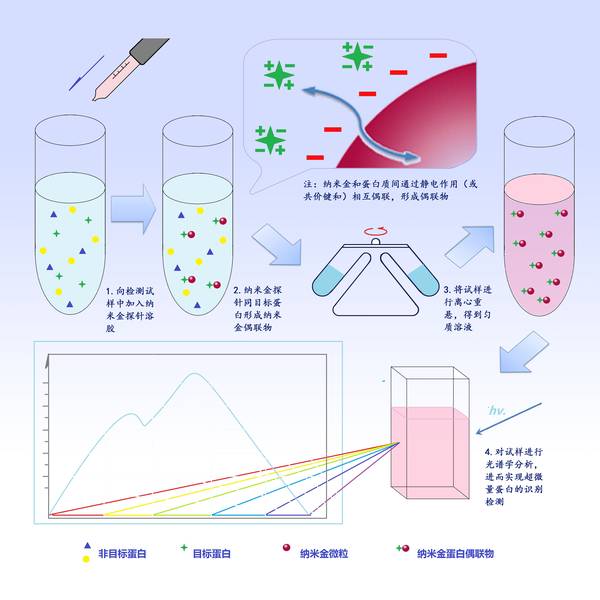 分子仿生學及其套用