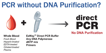 血液直接PCR