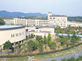 近畿大學(日本近畿大學)