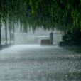 陣雨(天氣現象)