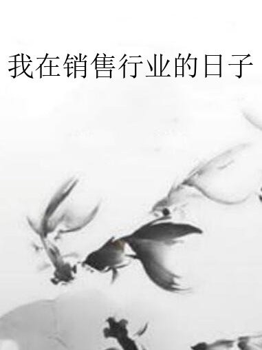 我在銷售行業的日子