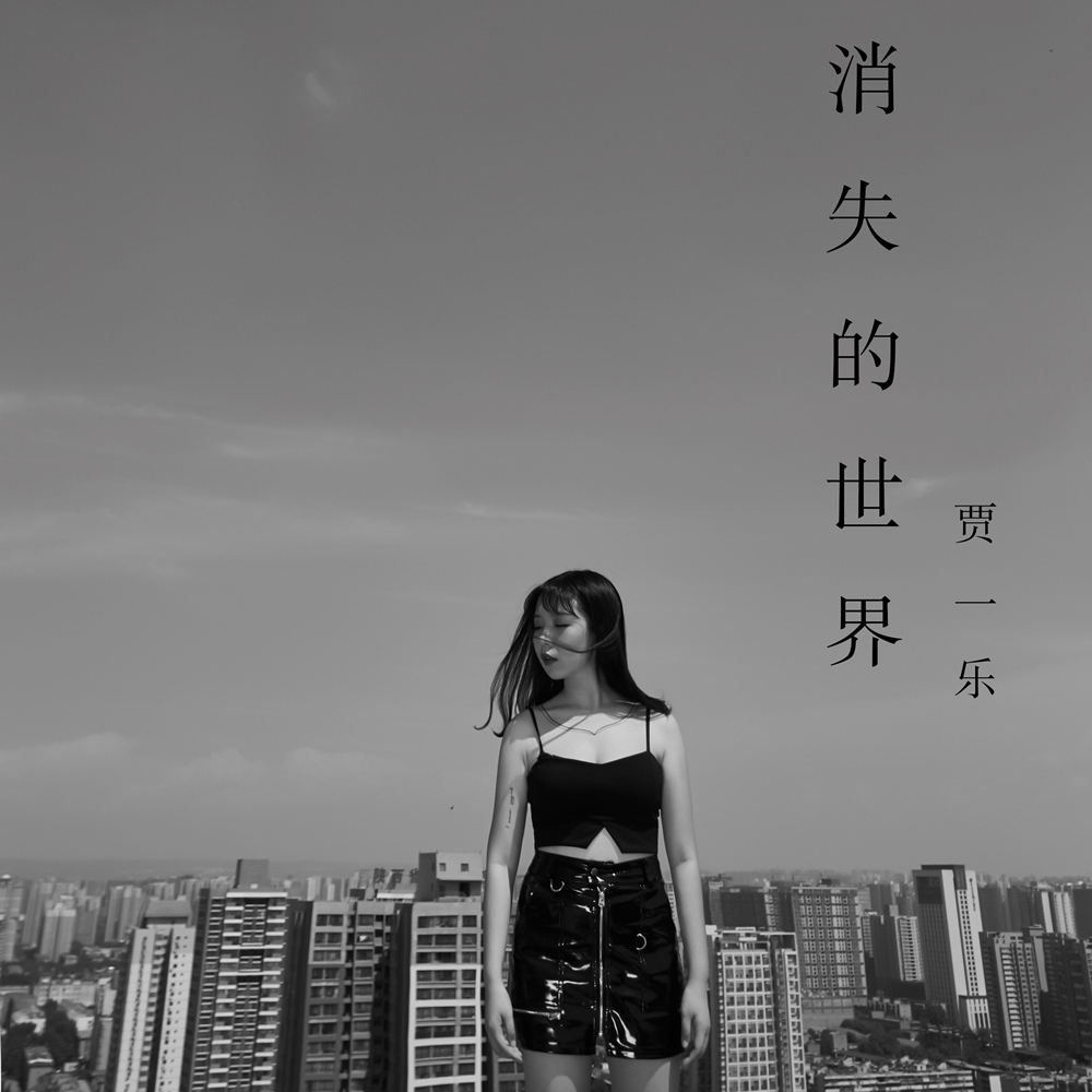 消失的世界(賈一樂演唱歌曲)