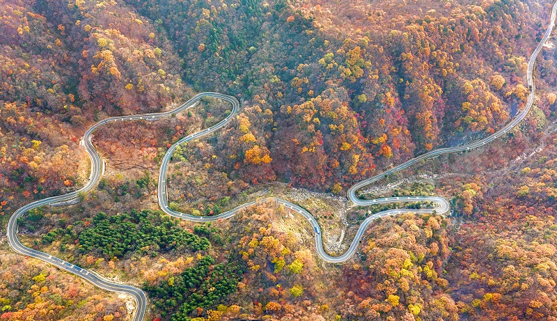 中國紅嶺公路