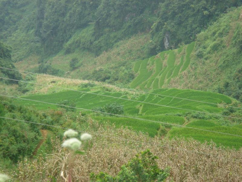 座斗村委會