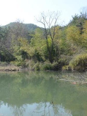 雲溪村(江西省資溪縣石峽鄉下轄行政村)