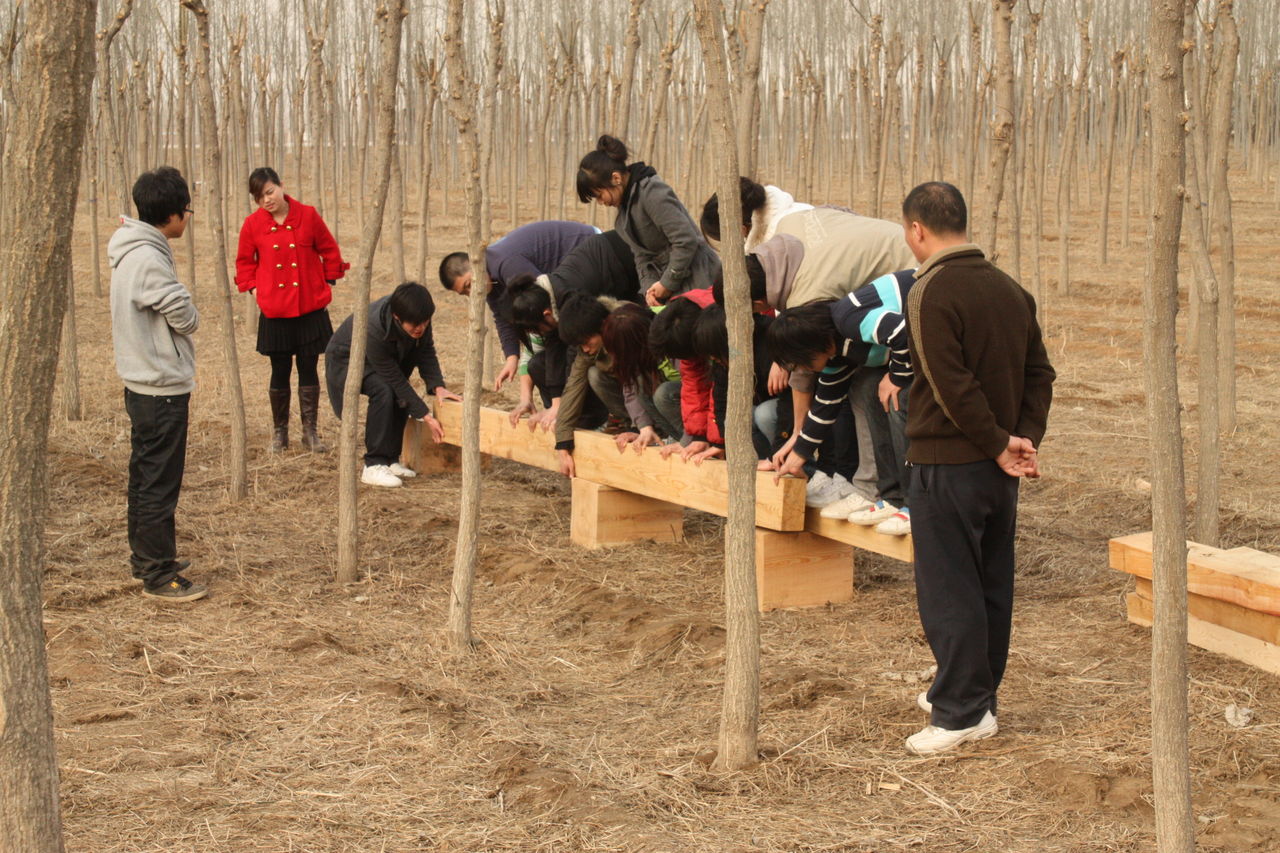 蝴蝶園(蘇梅島蝴蝶園)