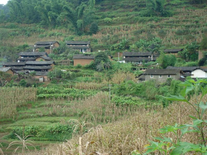 余家村(雲南景東彝族自治縣太忠鄉嘎仰村委會余家村)