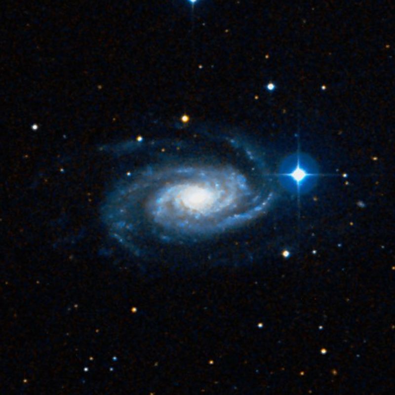 NGC 3338 DSS2 彩色圖