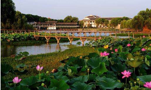 茶壇島風景區