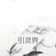 引靈界(繁星隕空著網路小說)