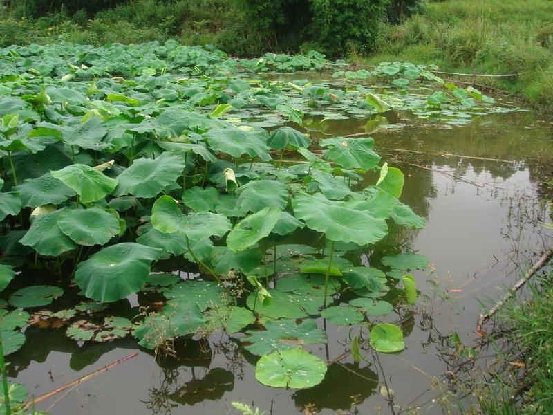 詹家村