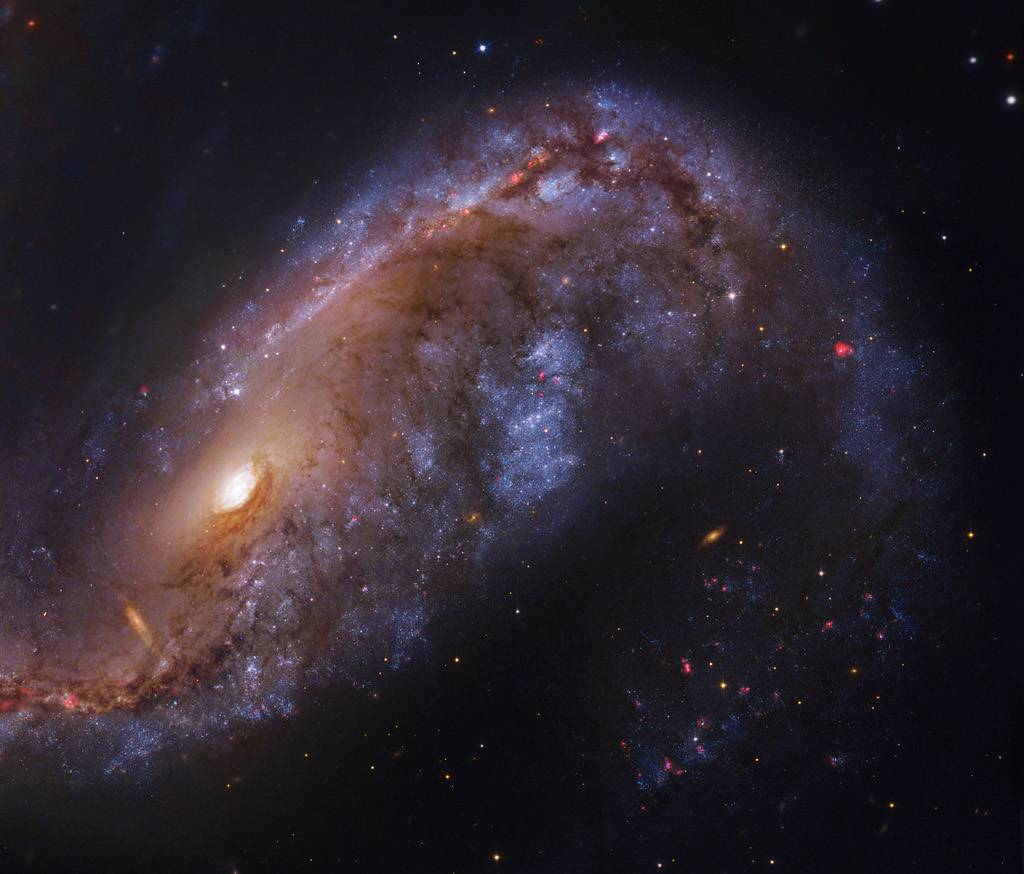 NGC 2442