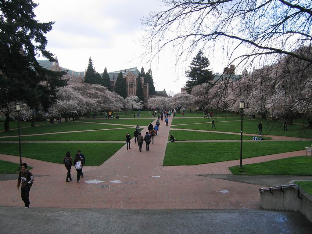 華盛頓大學校園