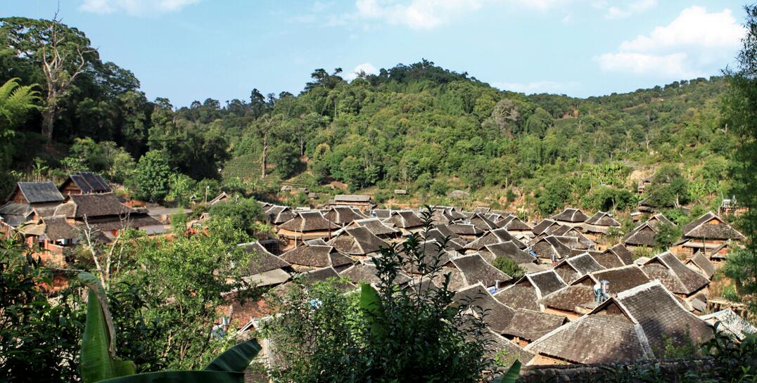 長壽村(雲南省楚雄州姚安縣棟川鎮長壽村)