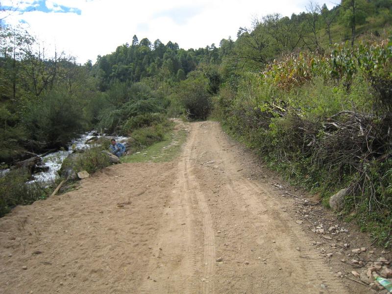 東口自然村進村道路