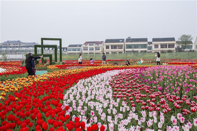 長江村(江西省大余縣池江鎮長江村)