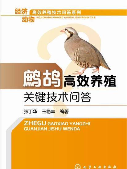 鷓鴣高效養殖關鍵技術問答