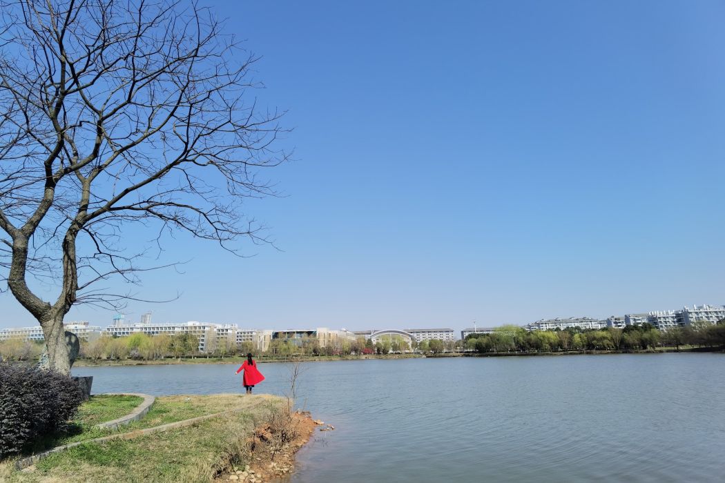 黃家拐湖