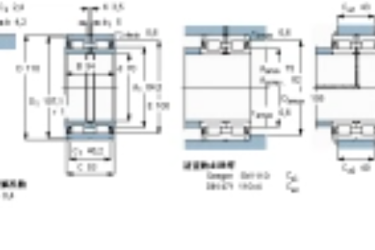 SKF NNF5014ADB-2LSV軸承