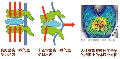 深圳市人體工程學套用協會