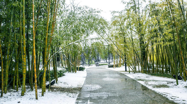 遺愛湖(黃岡市東坡文化主題公園)