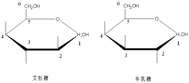 艾杜糖和半乳糖結構，注意2,3位的異構。。