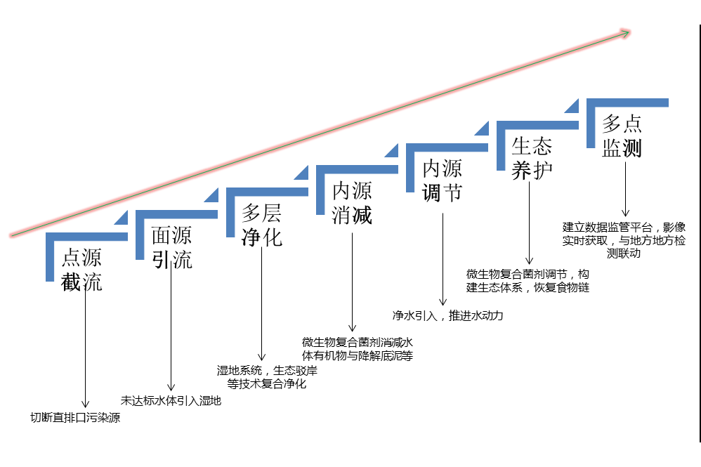 城市黑臭水體治理