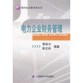 電力企業財務管理(彭文兵編著書籍)