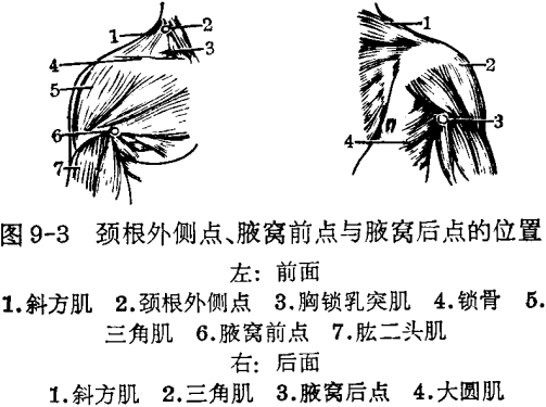 腋窩前點