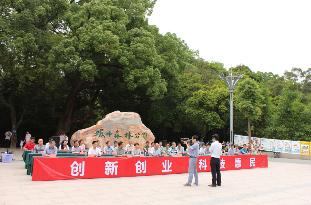 坂中森林公園