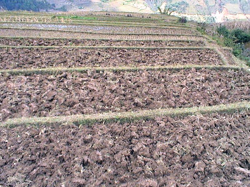 下寨溝村耕地