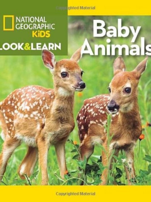 National Geographic Kids Look and Learn: Baby Animals