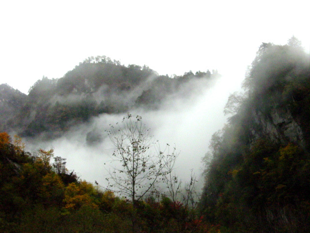 城西鄉(四川省達州市大竹縣城西鄉)