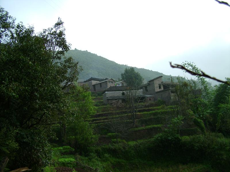 拖谷村(雲南省紅河州綠春縣牛孔鄉拖谷村)