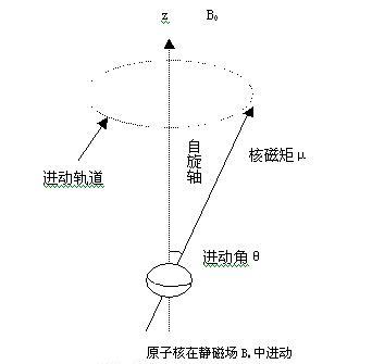 拉莫爾進動