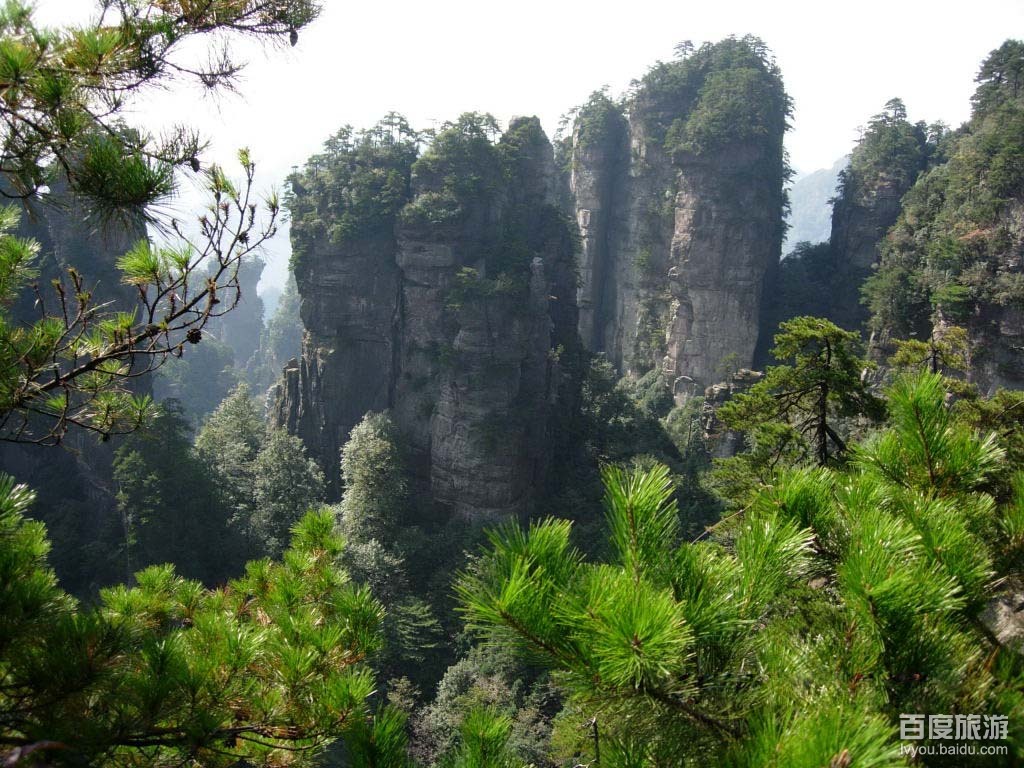 鳳棲山