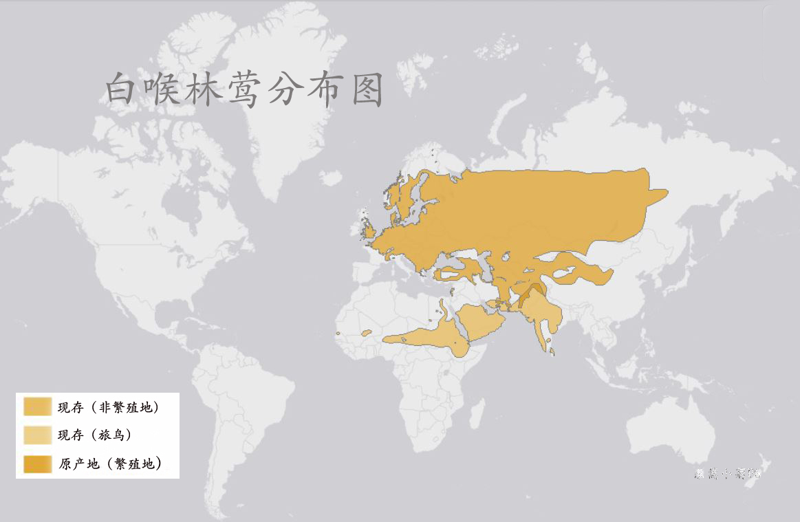 白喉林鶯分布圖