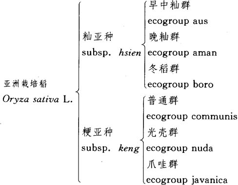 程侃聲教授提出的亞洲栽培稻分類體系