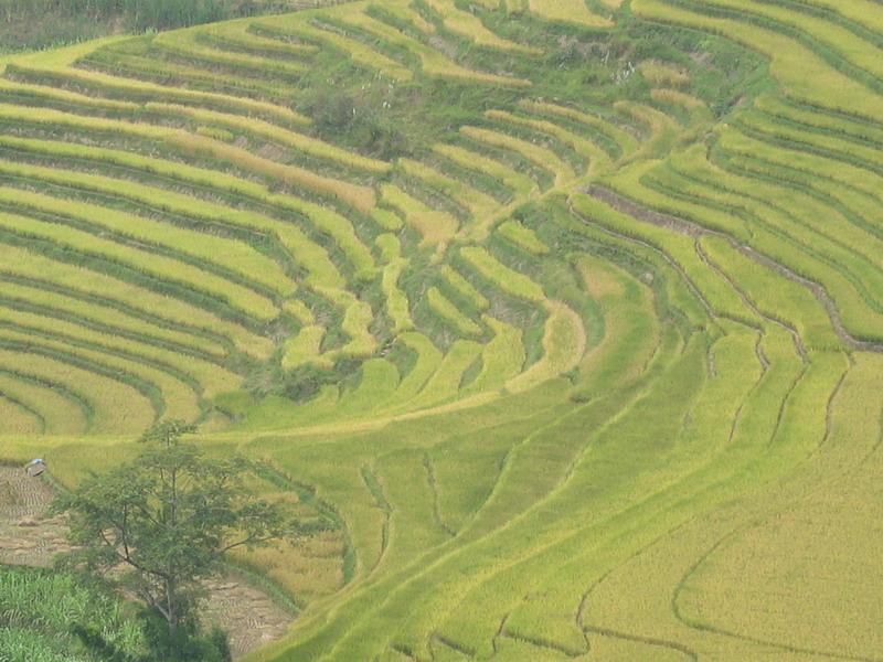 上丙山自然村