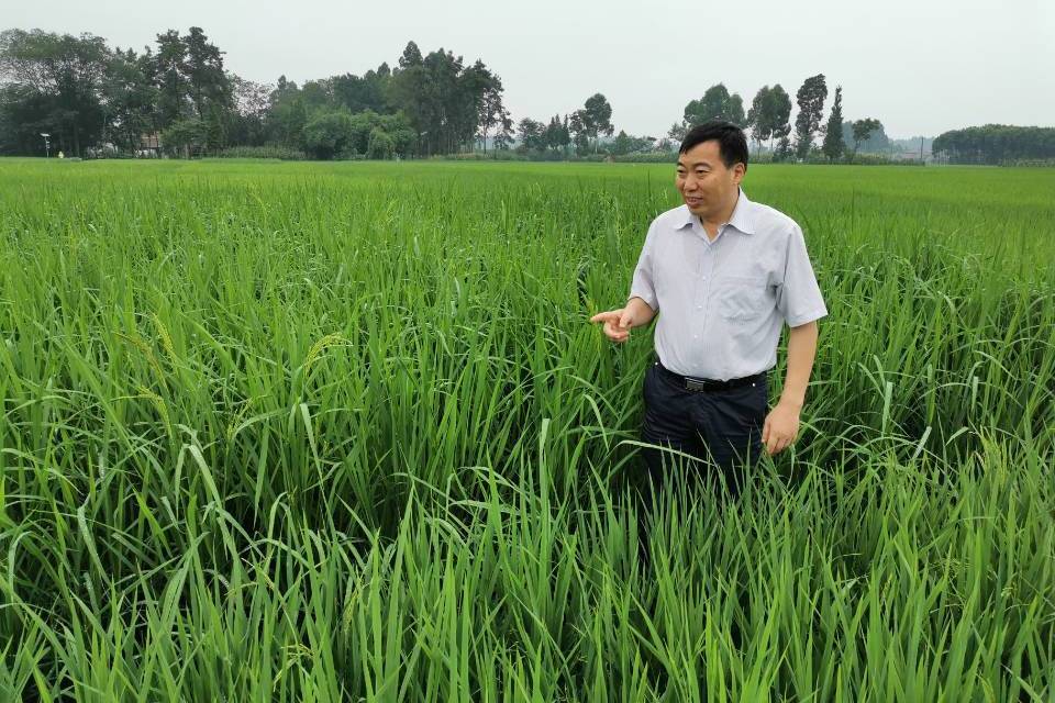 李廷軒(四川農業大學研究生院院長)