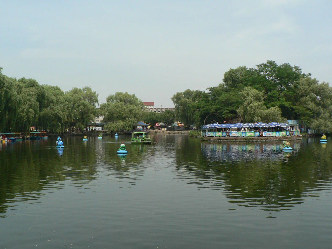 青年湖公園