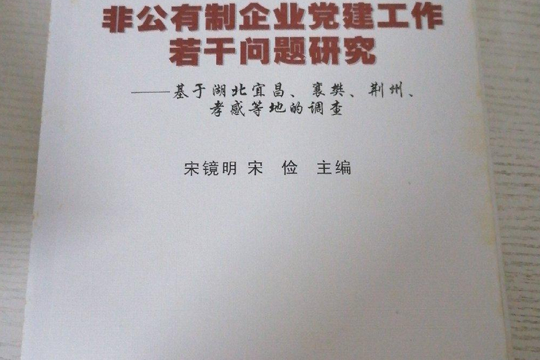 非公有制企業黨建工作若干問題研究