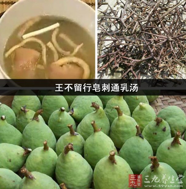 皂刺通乳湯