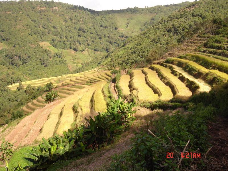 南擺河自然村